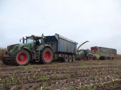 Loonbedrijf Arts uit Stevensbeek met een NH FR9080 in de maïs en groot materiaal. Foto's: J. Drost