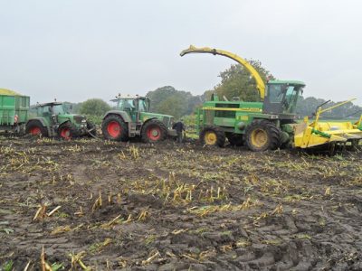 Loonbedrijf Greefs uit Essen aan het modderen in België met een JD 6950 hakselaar. Foto's: I. Sanders